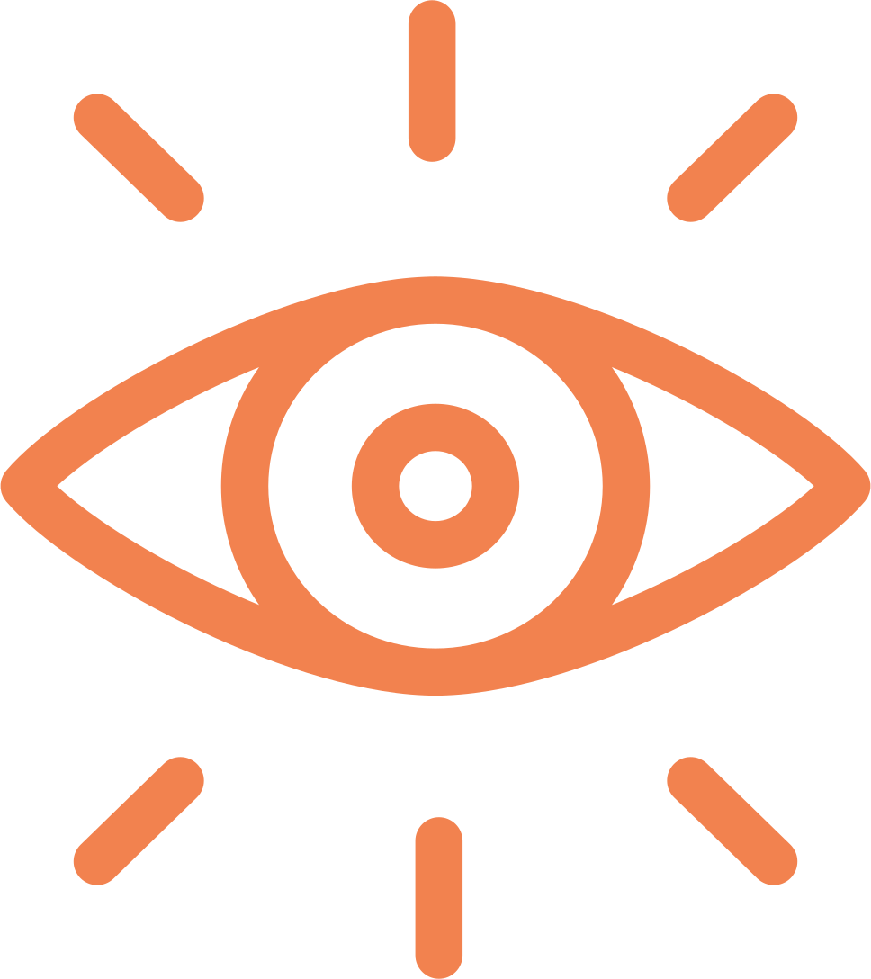 Vision Icon
