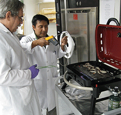 Image of Food Safety lab